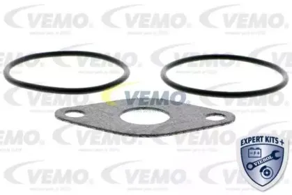 vemo-v10630031