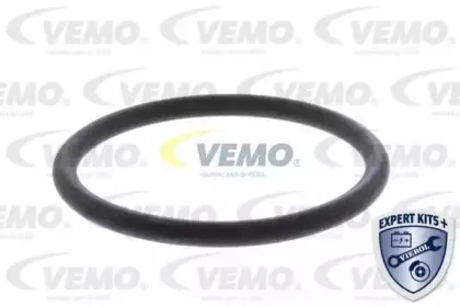 vemo-v10990003