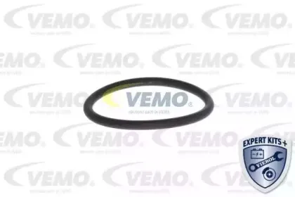 vemo-v10990004