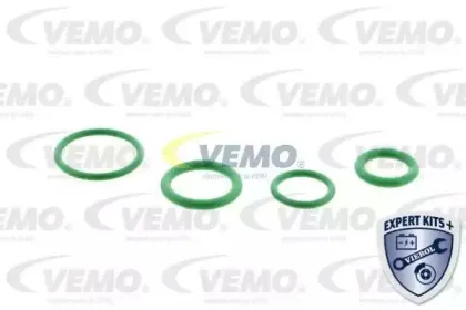 vemo-v15770024