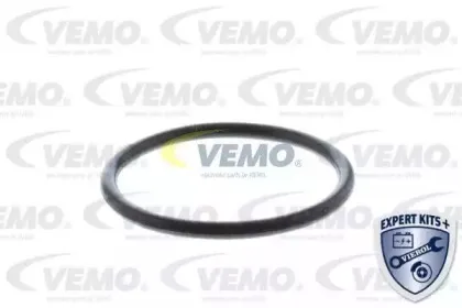 vemo-v15991894