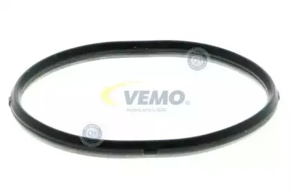 vemo-v15991907