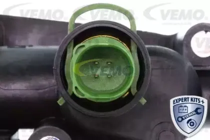 vemo-v15991908