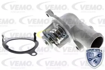 vemo-v15991949