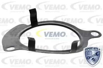 vemo-v15991949