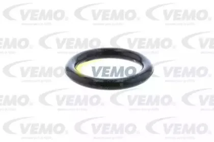 vemo-v15991979