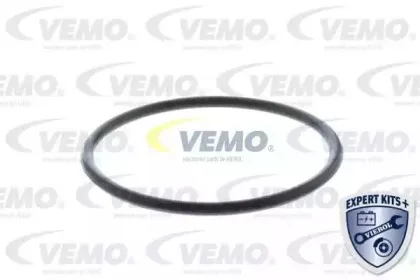 vemo-v159919851