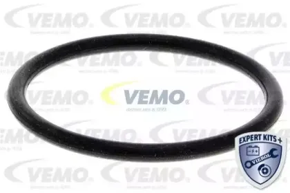 vemo-v159919871