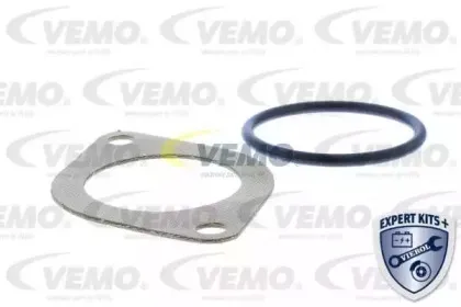 vemo-v159919872