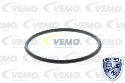 vemo-v15991990