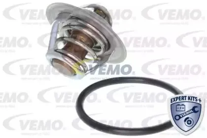 V15-99-2002-1 VEMO
