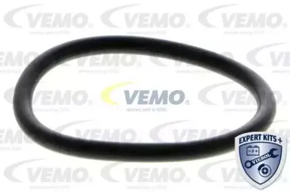 vemo-v159920191