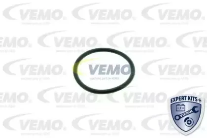 vemo-v15992019