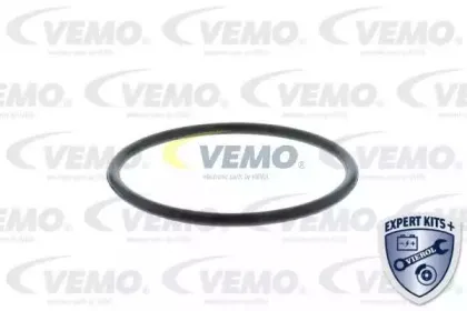 vemo-v15992041