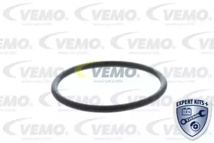 vemo-v15992058