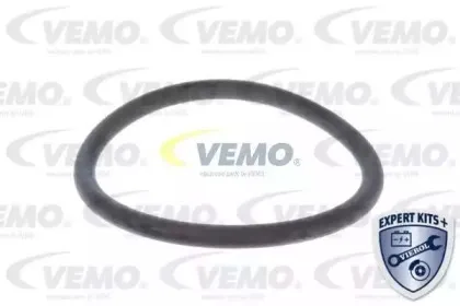 vemo-v15992059
