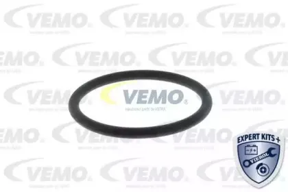 vemo-v15992063