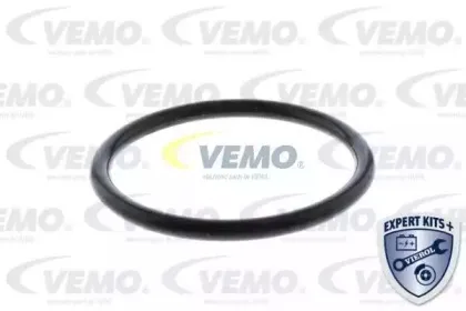vemo-v15992064