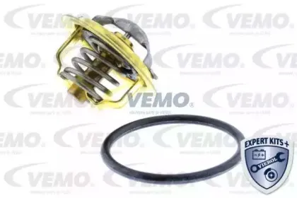 vemo-v15992075