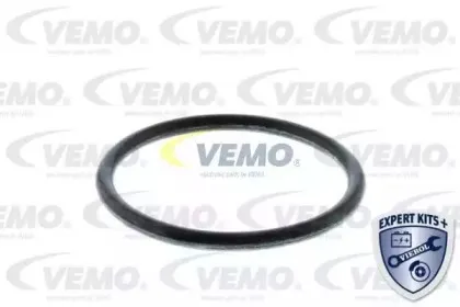 vemo-v15992075