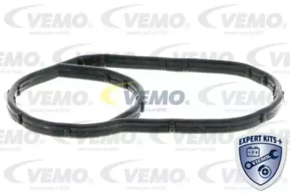 vemo-v15992077