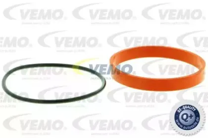 vemo-v20630011