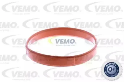 vemo-v20810014