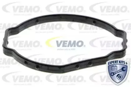 vemo-v20990170