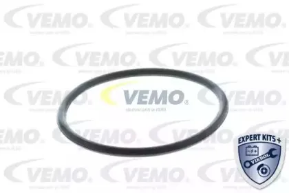 vemo-v20991253