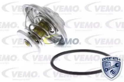 vemo-v209912541