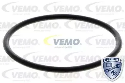 vemo-v209912541