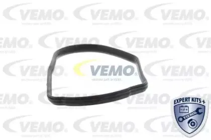 vemo-v20991265