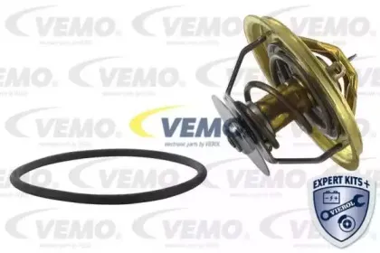 vemo-v20991272