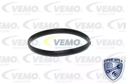 vemo-v20991279