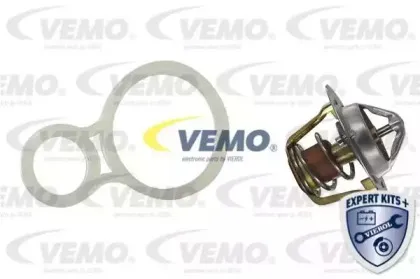 vemo-v20991280