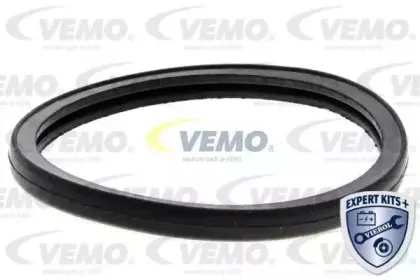 vemo-v22990002