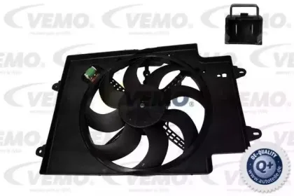 vemo-v24011274