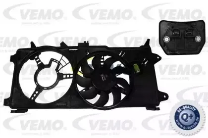 vemo-v24011279