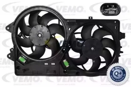 vemo-v24011289