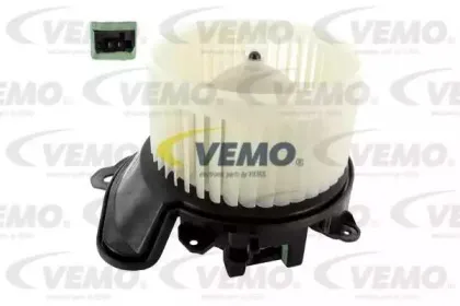 vemo-v24031353