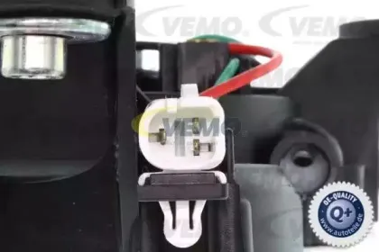 vemo-v24070012