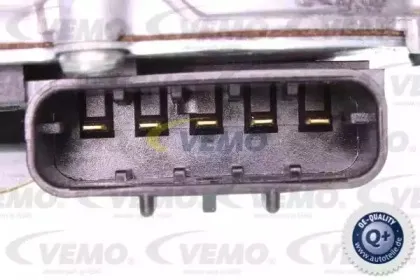 vemo-v24070020