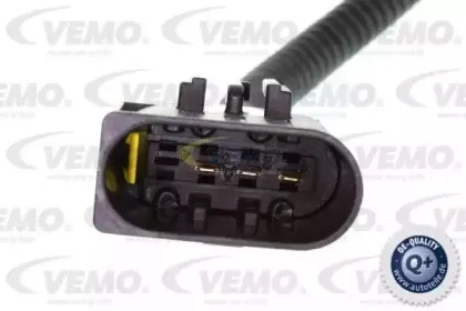 vemo-v24810002