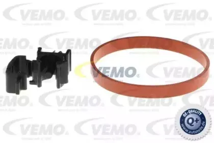 vemo-v24810003