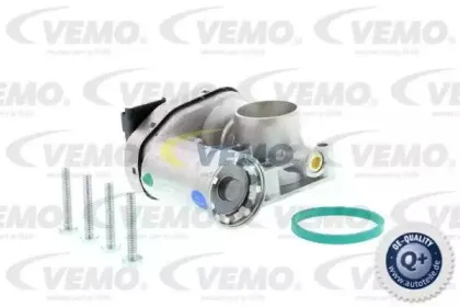 vemo-v24810011