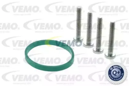 vemo-v24810011