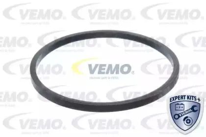 vemo-v24990006