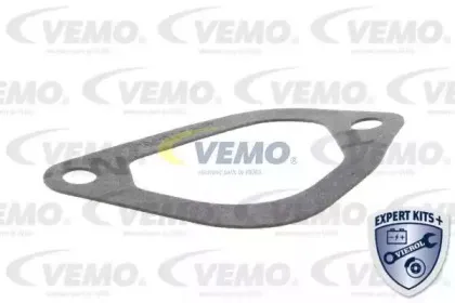 vemo-v24990008