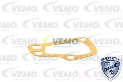 vemo-v24990010