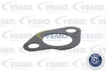 vemo-v24990011